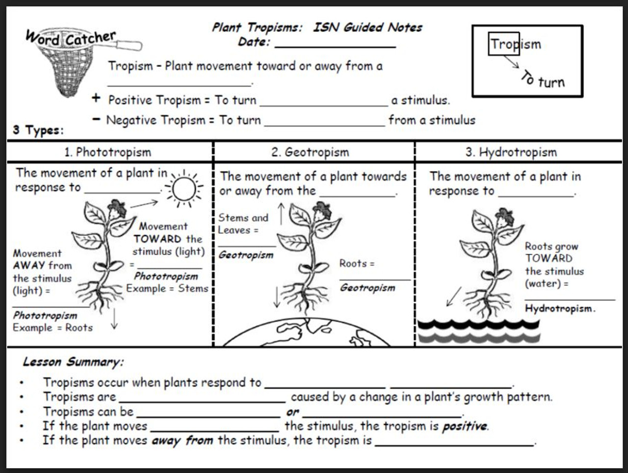 Plant tropisms worksheet answers key