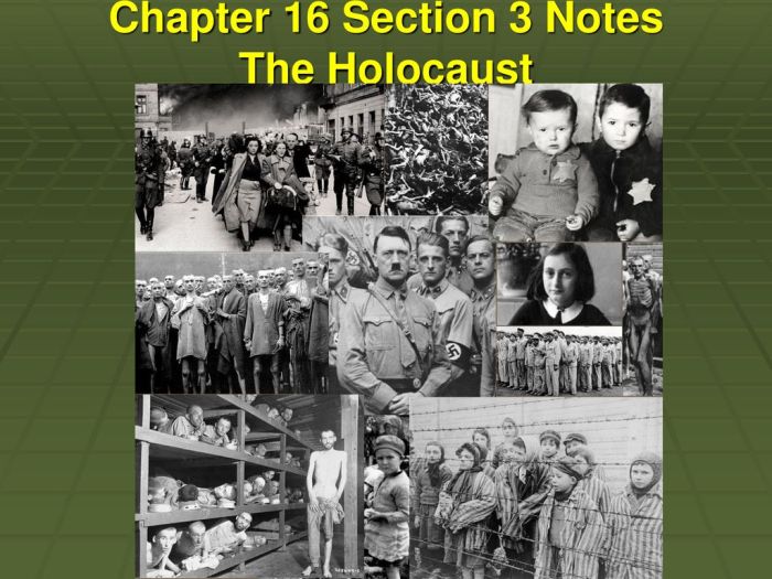 Chapter 16 section 3 the holocaust