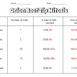 Time for mitosis lab answer key