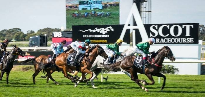 The great race for the western stakes 1870