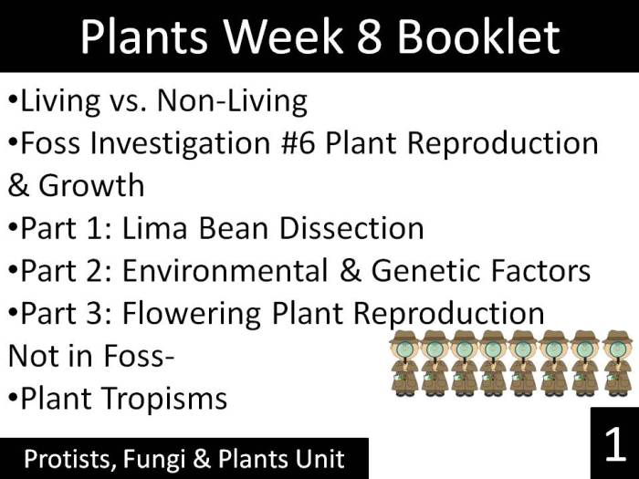 Plant tropisms worksheet answers key