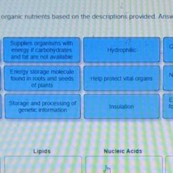 Classify each description according to the type of organic nutrient