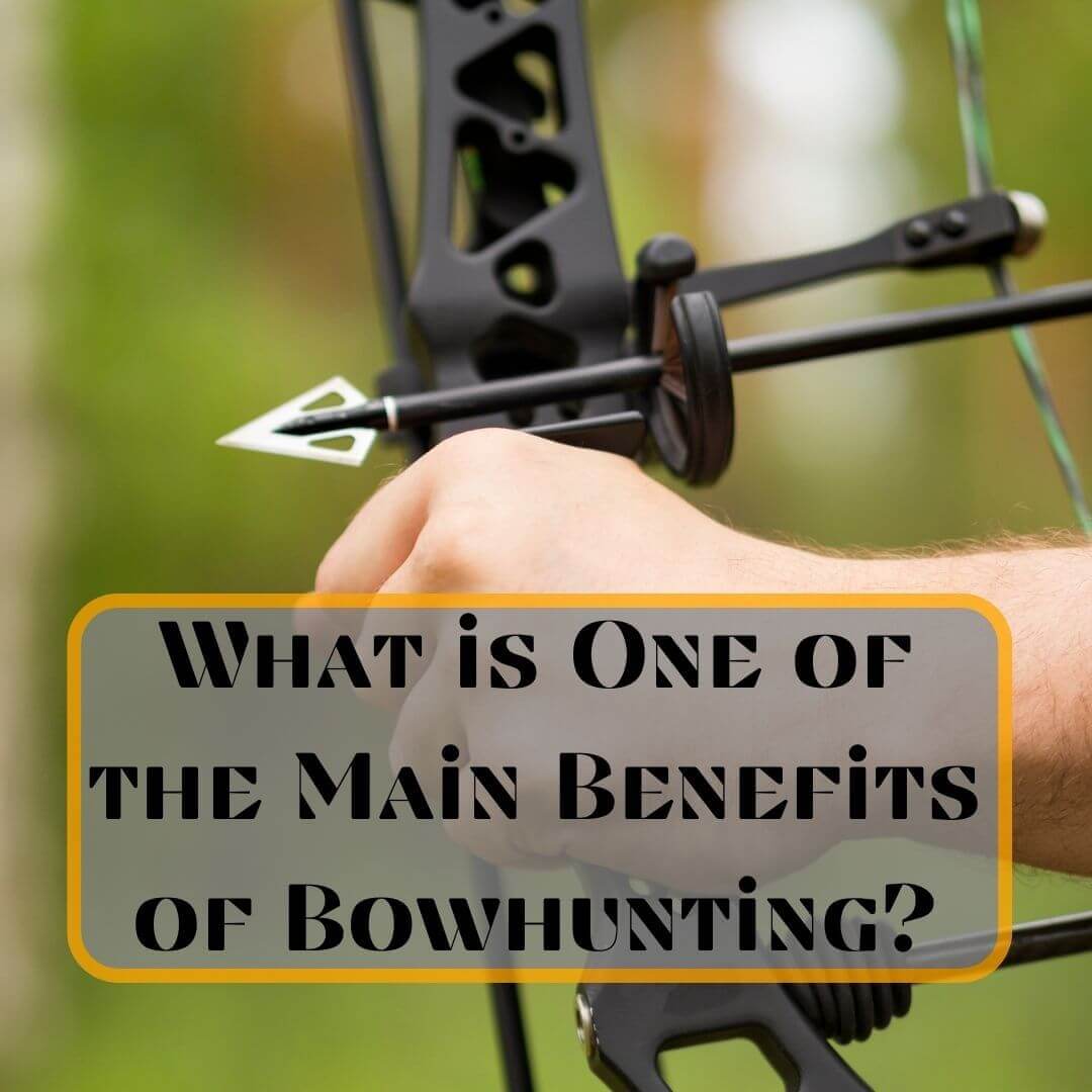 What is one of the main benefits of bowhunting