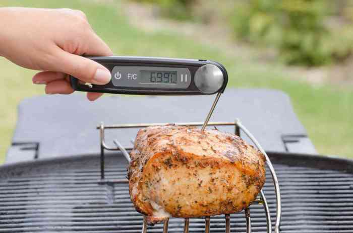 Food probe thermometers that display both fahrenheit and celsius